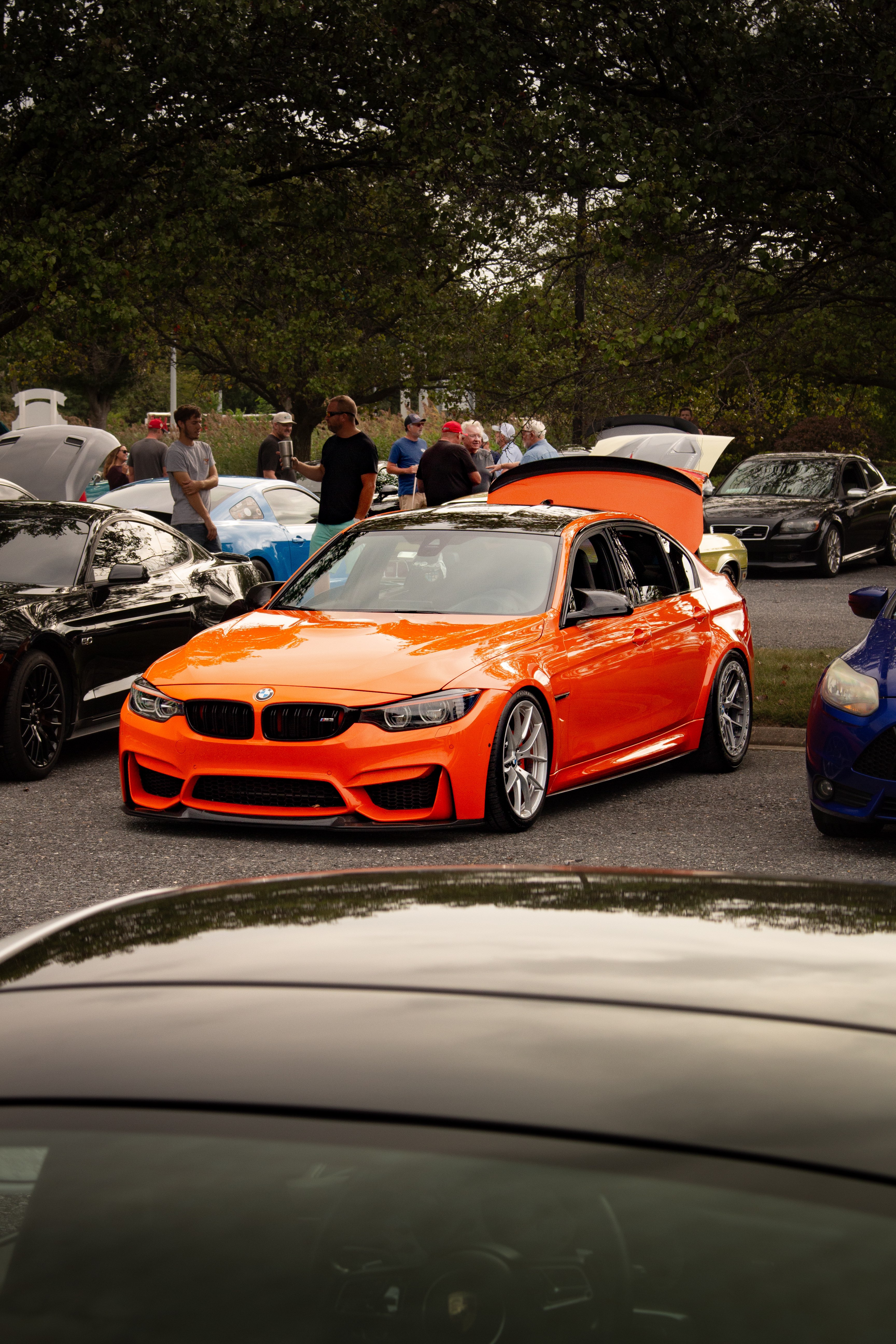 Description of image 1